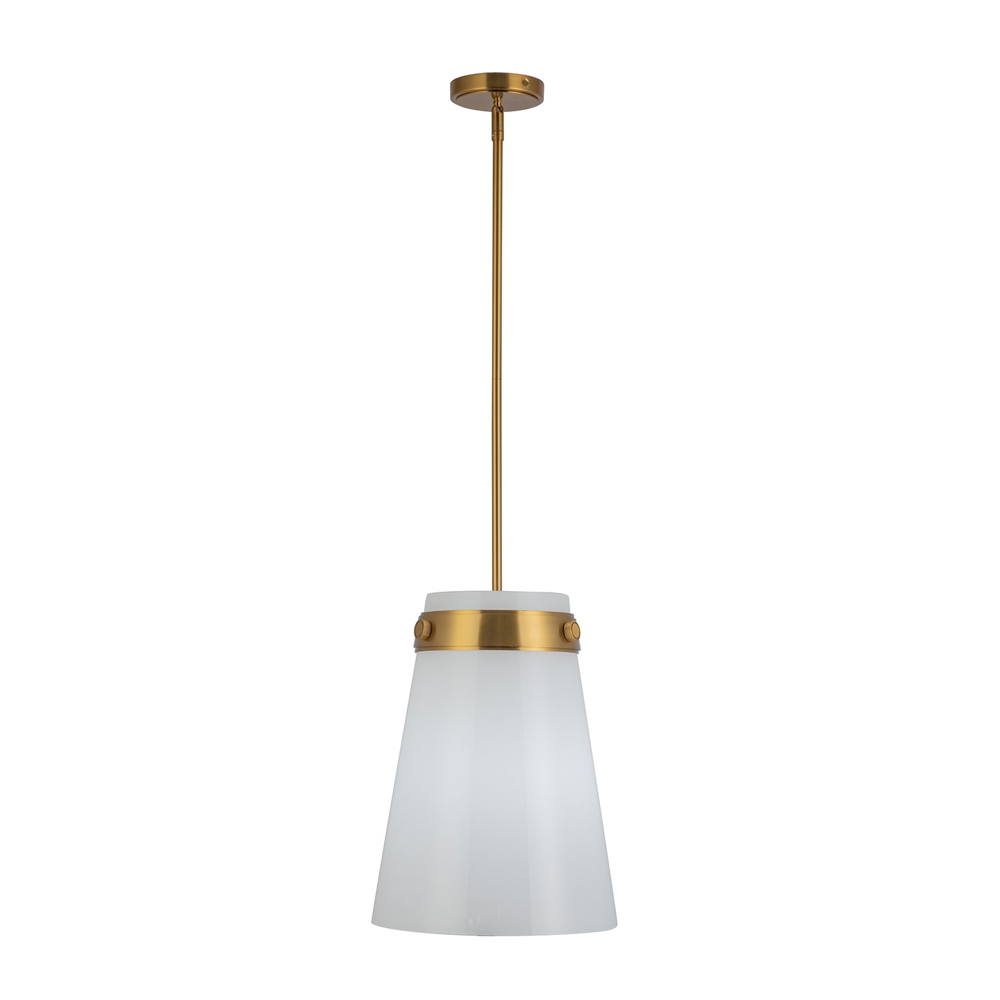 Suspension Dahlia 1 lumière 12 po