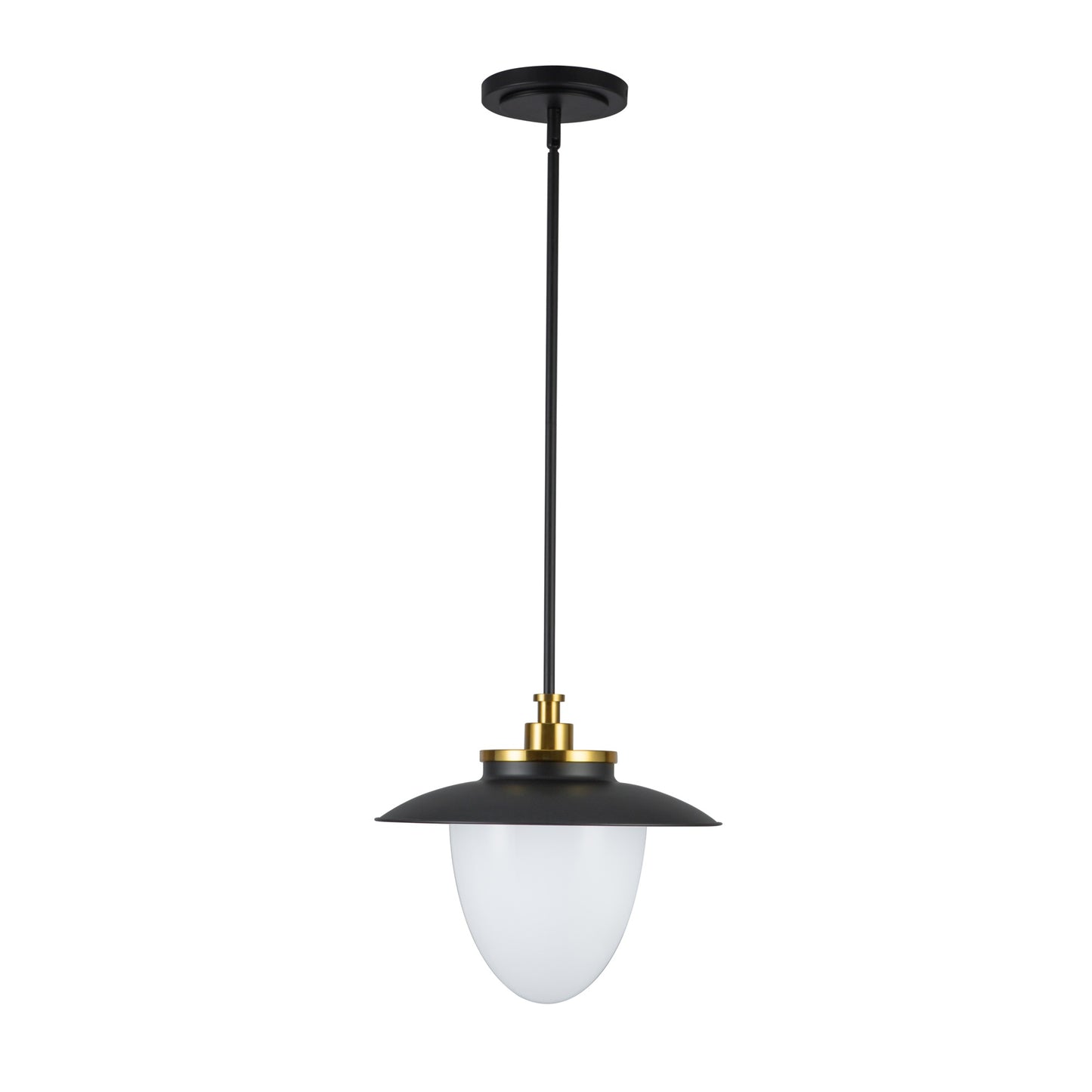 Dahlia 1 Light Pendant 15in