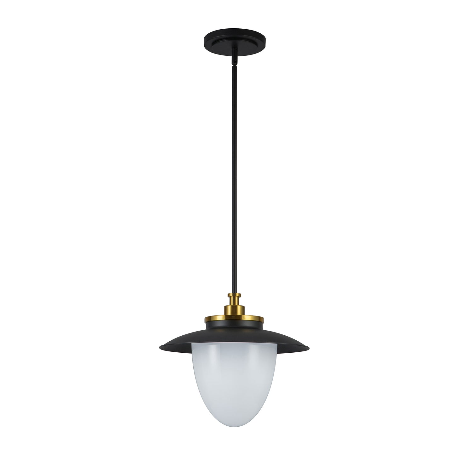 Dahlia 1 Light Pendant 15in