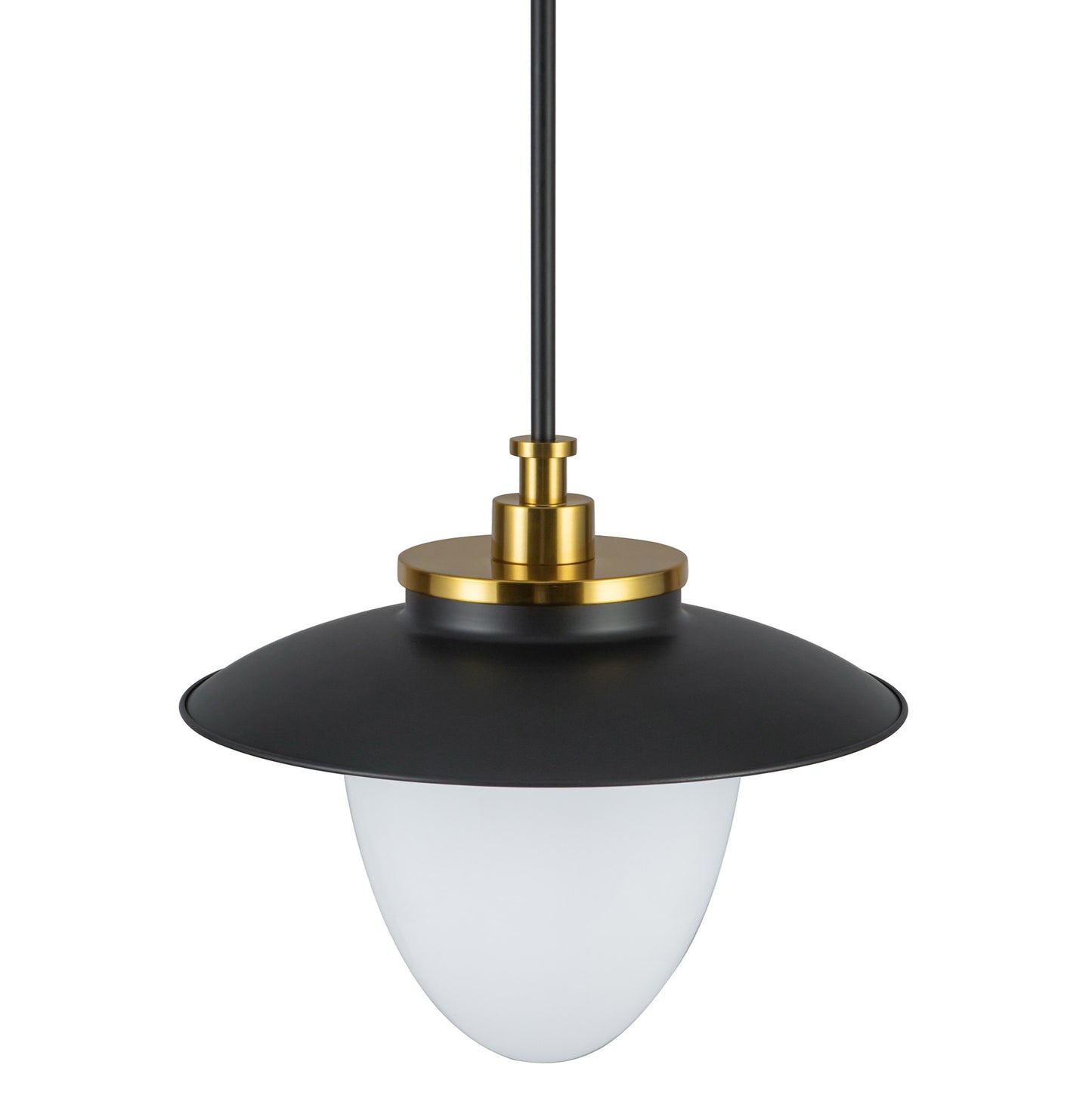 Dahlia 1 Light Pendant 15in