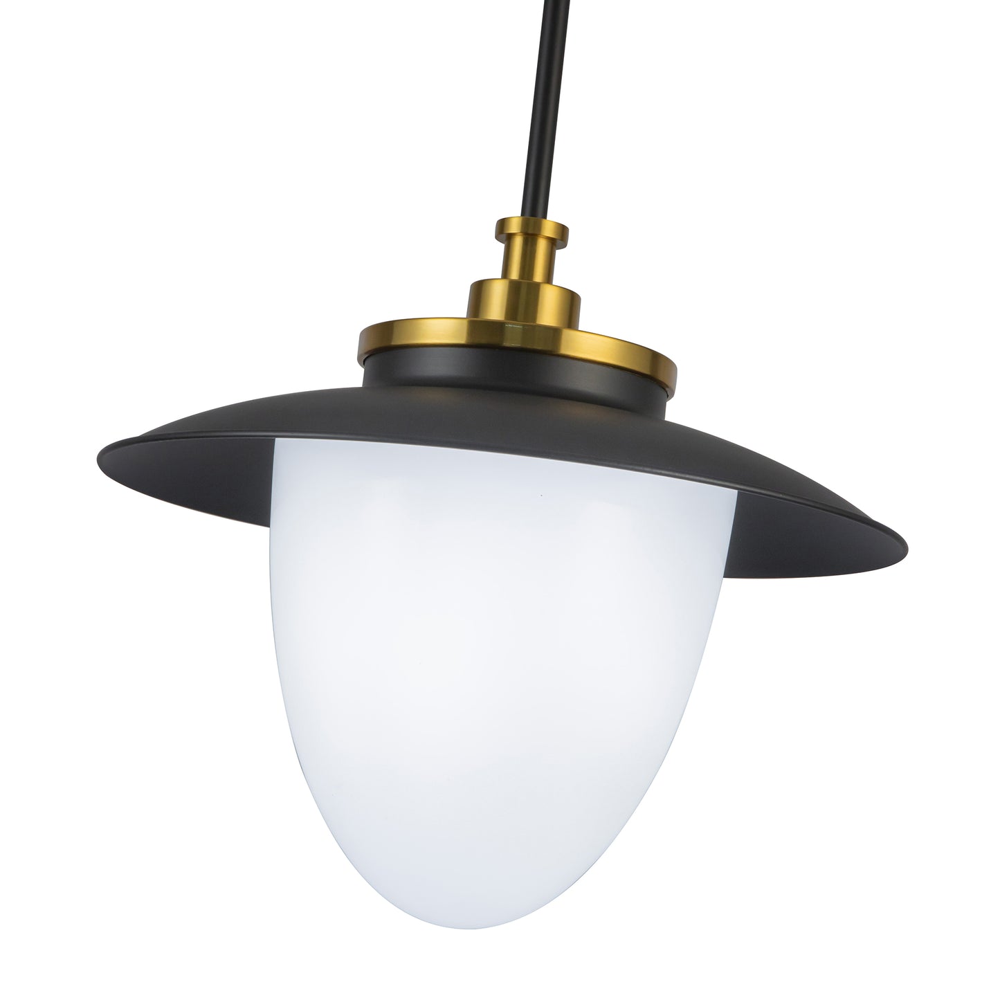 Dahlia 1 Light Pendant 15in