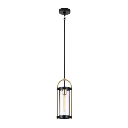 Bonita Collection 1-Light Pendant