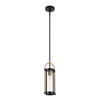 Bonita Collection 1-Light Pendant