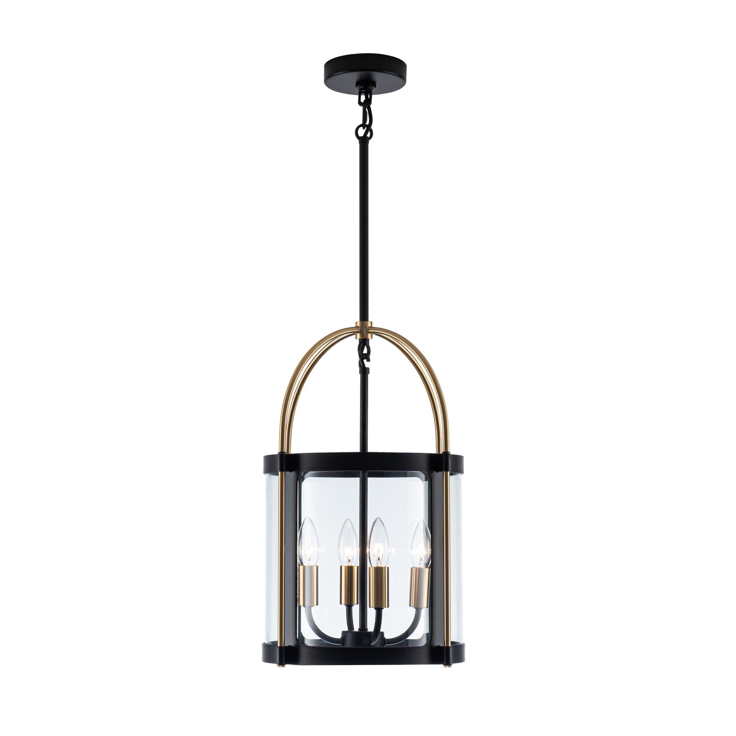 Bonita Collection 4-Light 13in Pendant