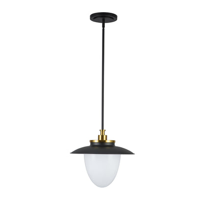 Dahlia 1 Light Pendant 15in