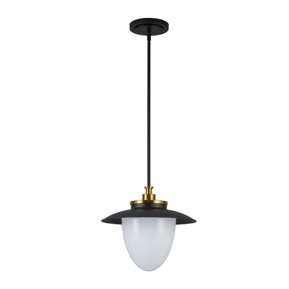 Dahlia 1 Light Pendant 15in