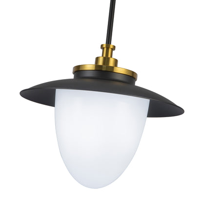 Dahlia 1 Light Pendant 15in