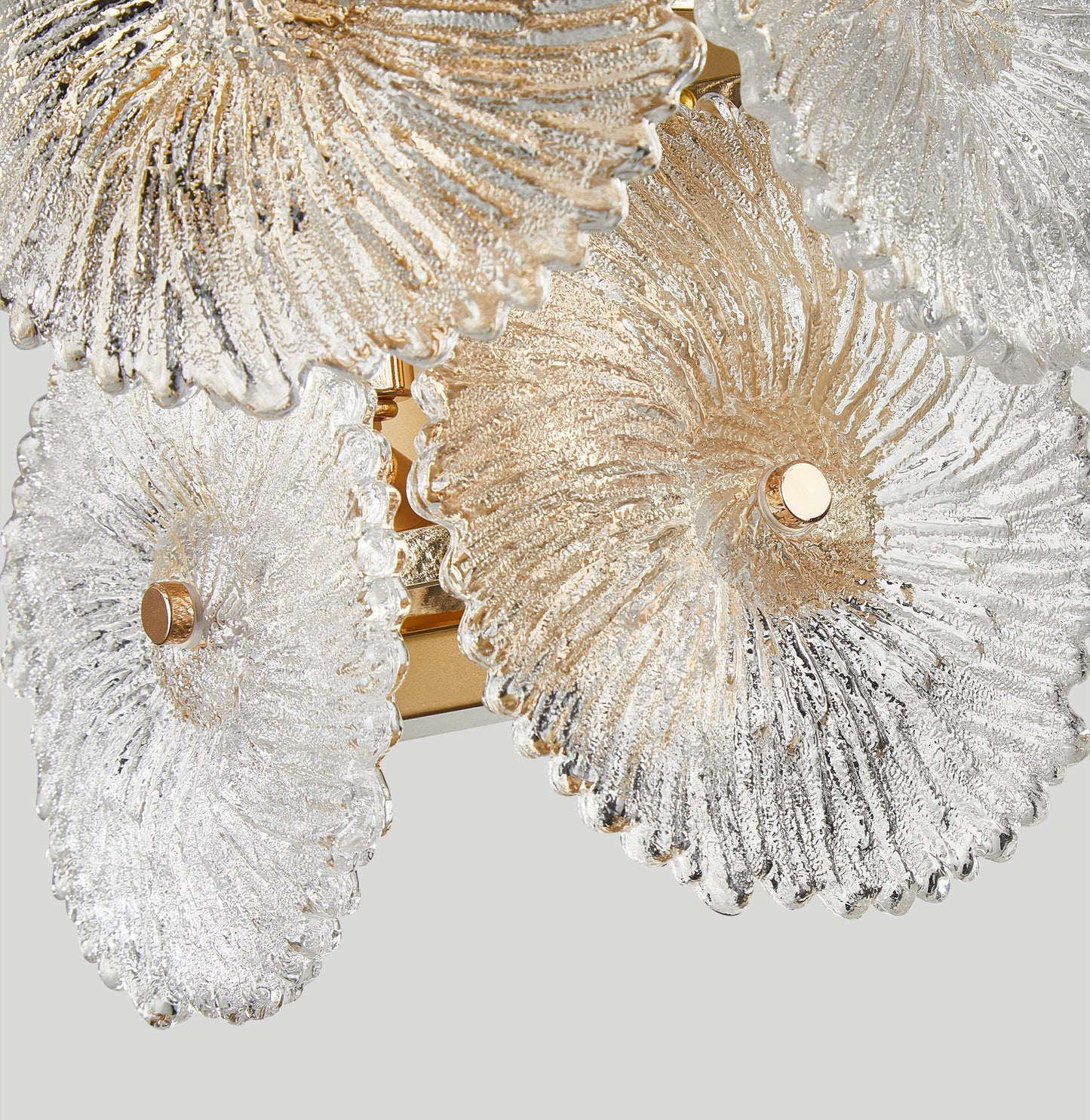 Applique de la collection Bloom