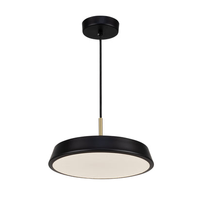 Luminaire suspendu de 12 po à 1 lumière de la collection Lexi