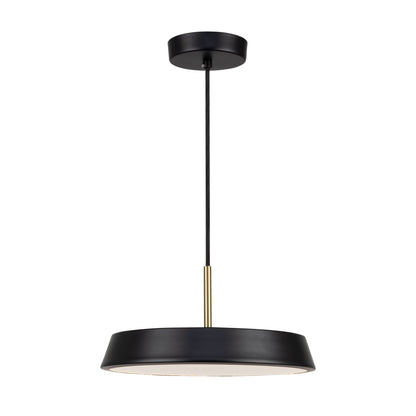Luminaire suspendu de 12 po à 1 lumière de la collection Lexi
