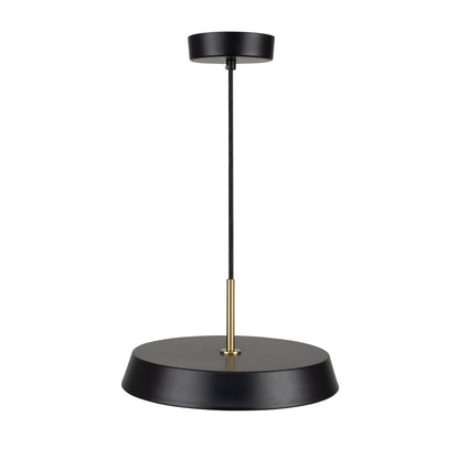 Luminaire suspendu de 12 po à 1 lumière de la collection Lexi