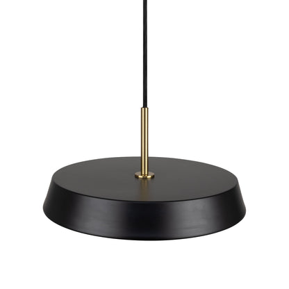 Luminaire suspendu de 12 po à 1 lumière de la collection Lexi