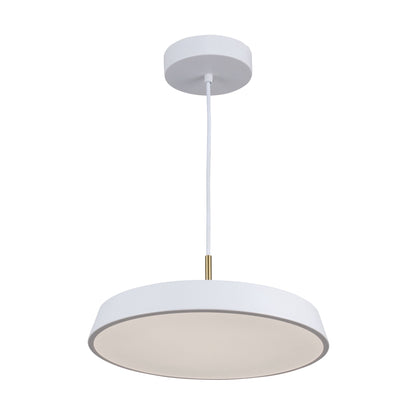 Luminaire suspendu de 12 po à 1 lumière de la collection Lexi