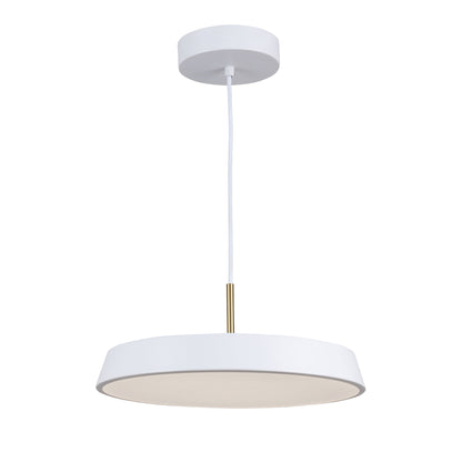 Luminaire suspendu de 12 po à 1 lumière de la collection Lexi