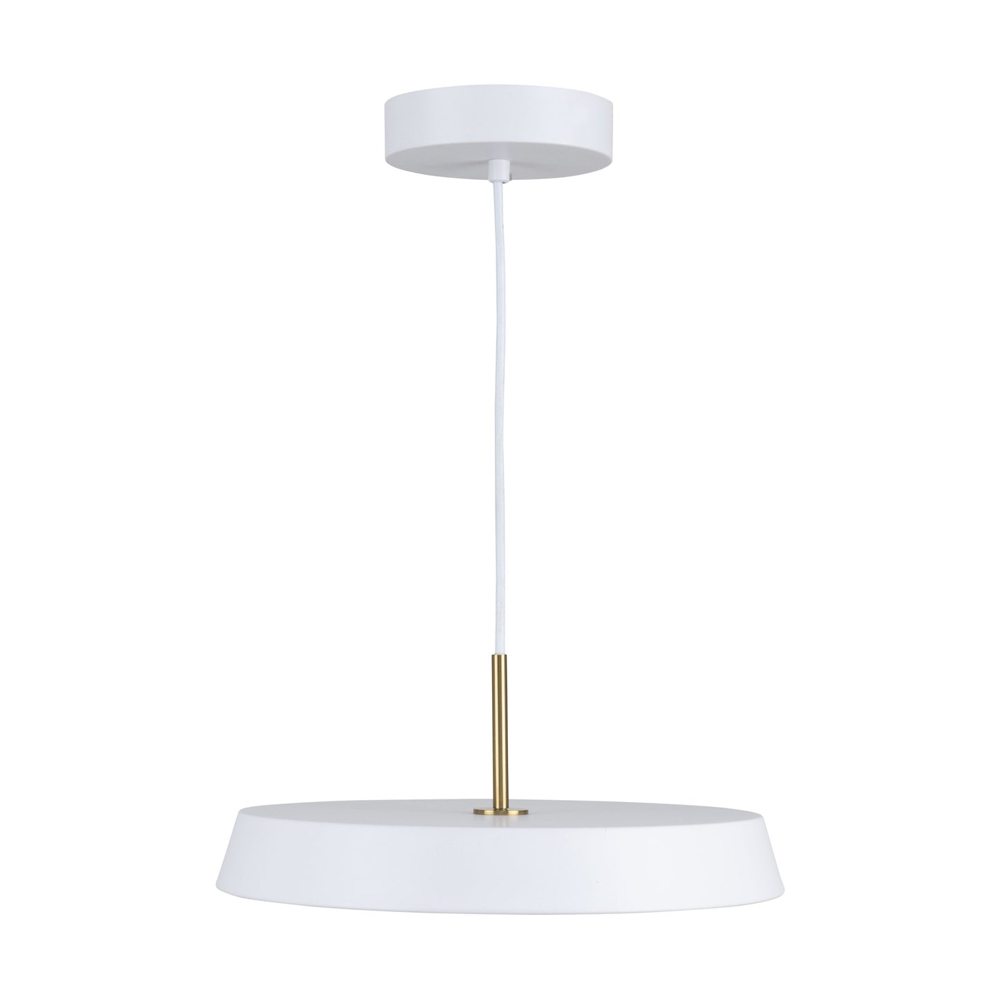 Luminaire suspendu de 12 po à 1 lumière de la collection Lexi