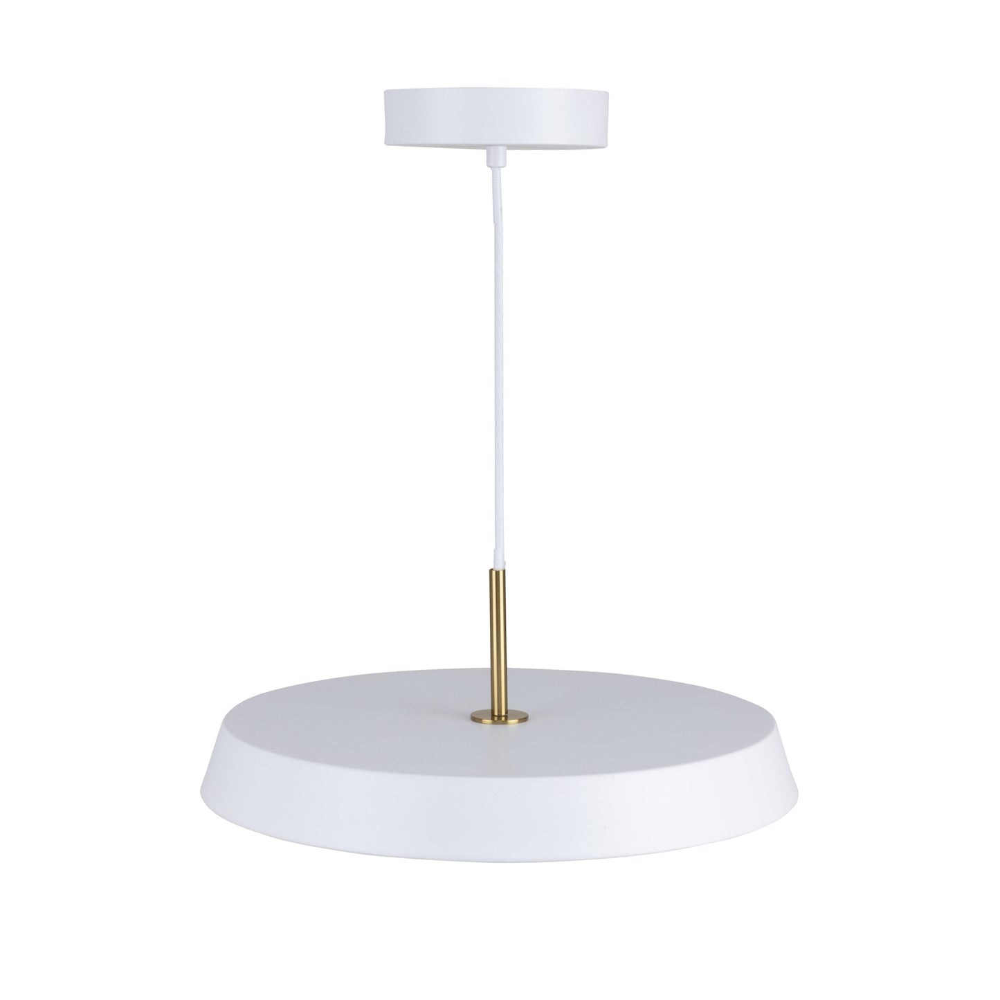 Luminaire suspendu de 12 po à 1 lumière de la collection Lexi