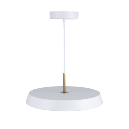 Luminaire suspendu de 12 po à 1 lumière de la collection Lexi