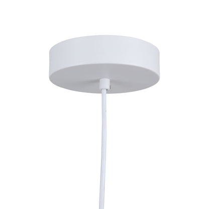 Luminaire suspendu de 12 po à 1 lumière de la collection Lexi