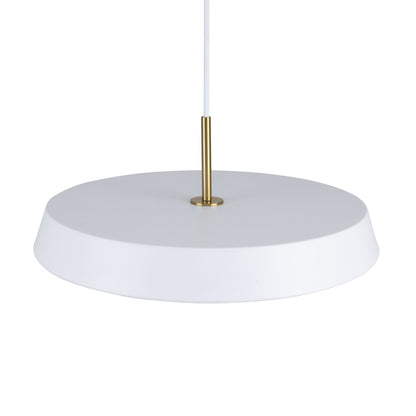 Luminaire suspendu de 12 po à 1 lumière de la collection Lexi