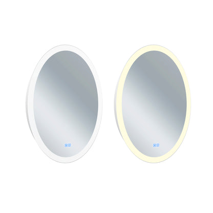 Agostino Oval LED 22 in. Mirror