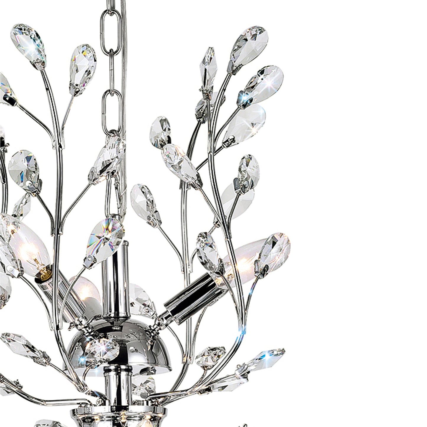 Ivy 9 Light Chandelier