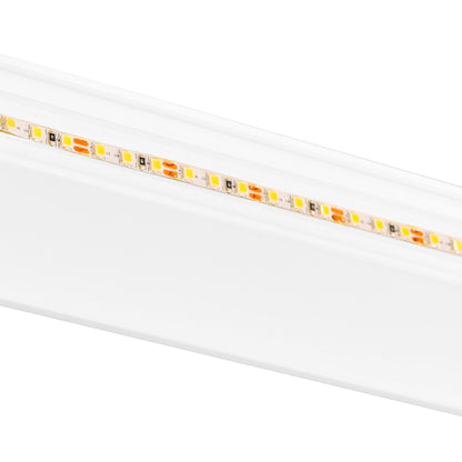 Lilliana LED Wall Sconce